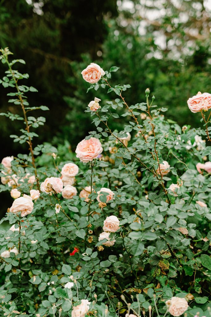 Chris & Joy - Wedding Day-342