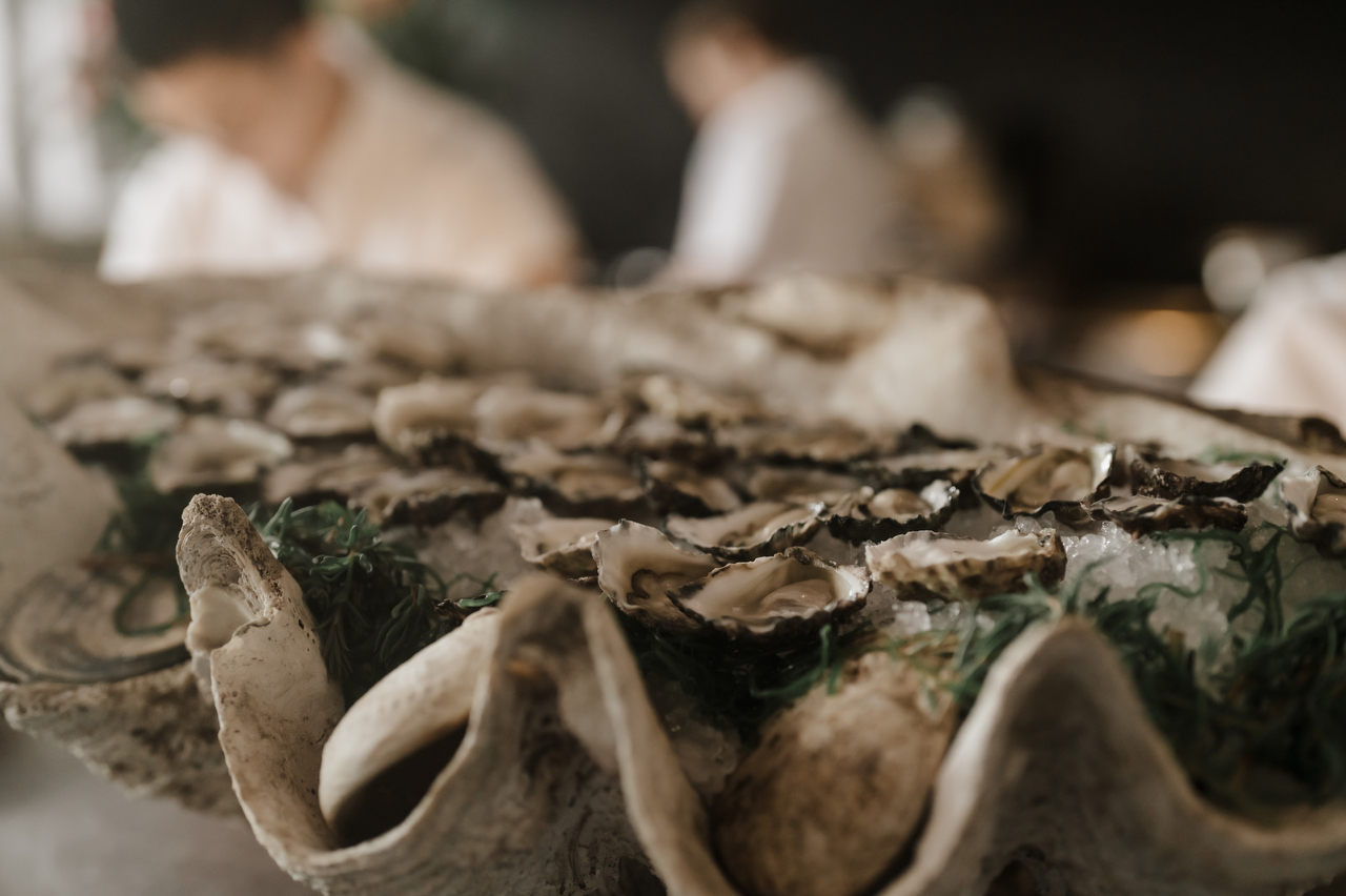 Steph’s 40th Birthday-44