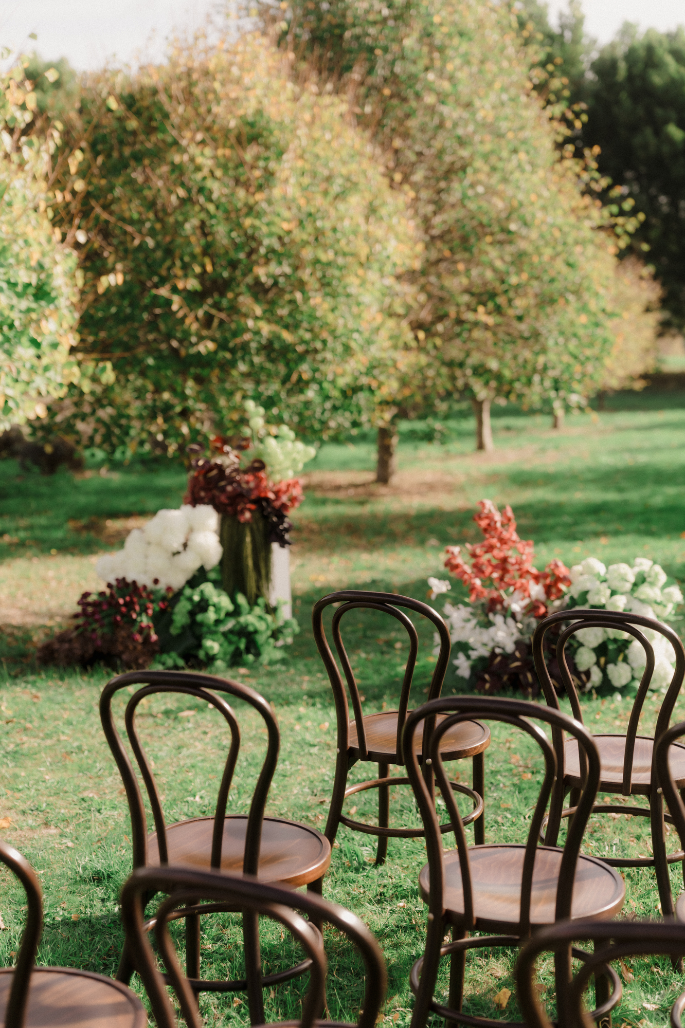 Lavender Farm Under Sky-w grain-88